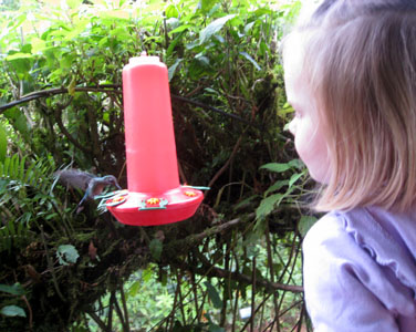 Eye to eye with a hummingbird